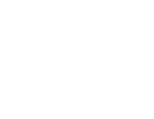 Webzone ICANN Logo